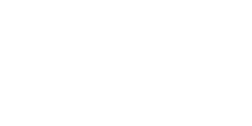 Sinergia e Innovazione